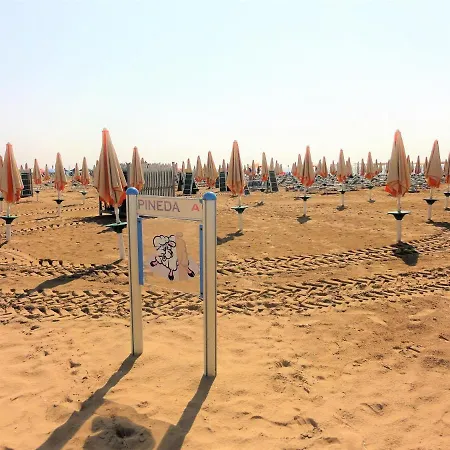 Agavi * Bibione