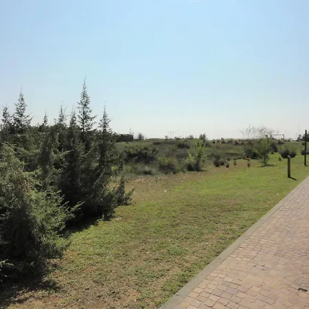 Agavi Bibione